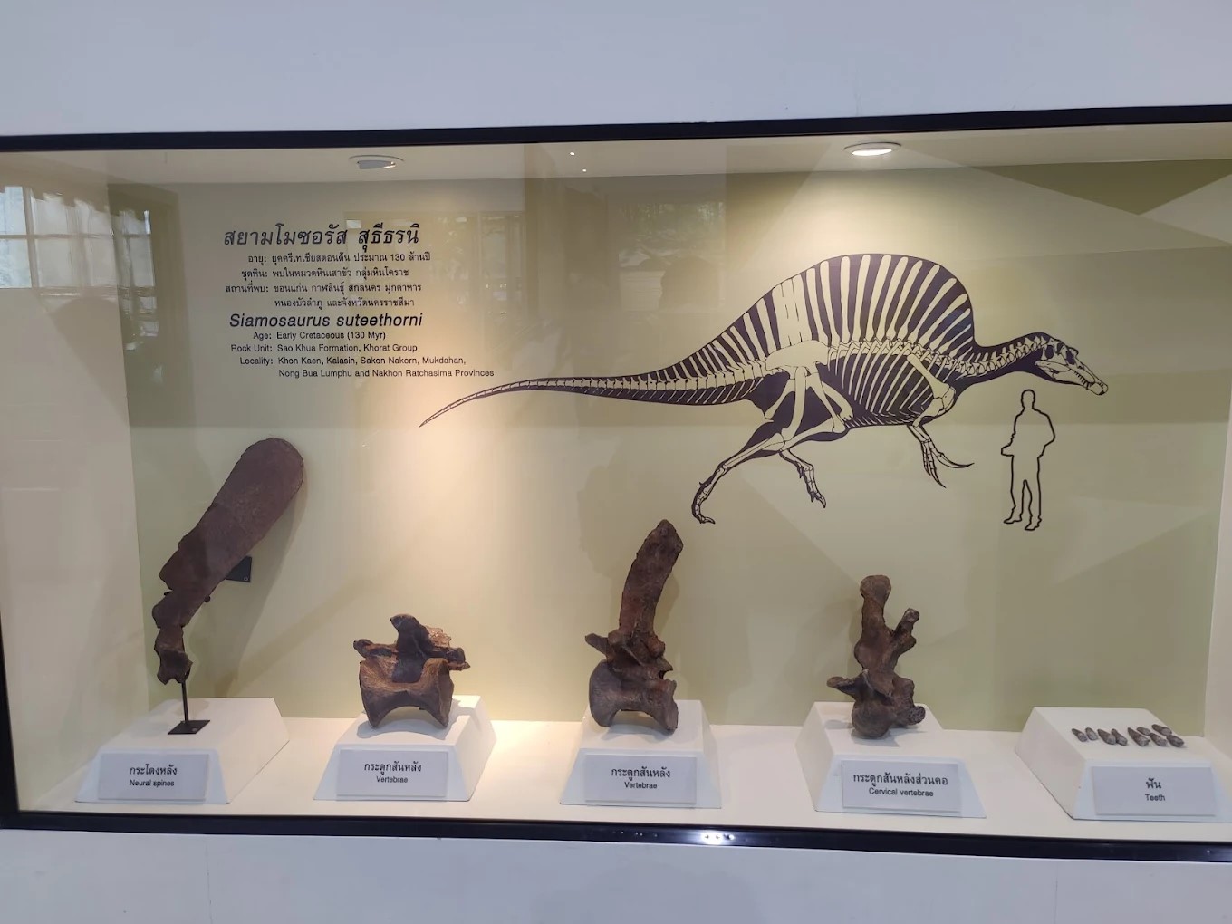 เครดิตรูปภาพ : Alexander Windsor