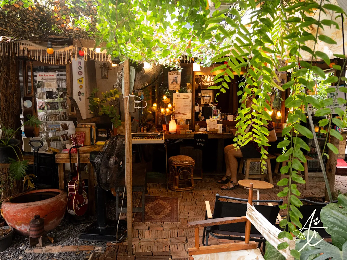 เครดิตรูปภาพ : AnAn The Fox (อันอัน)