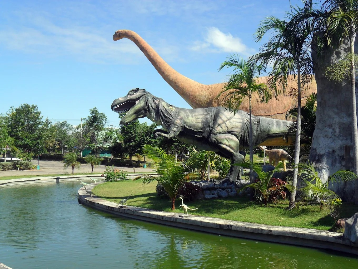 เครดิตรูปภาพ : Hans A de Boer